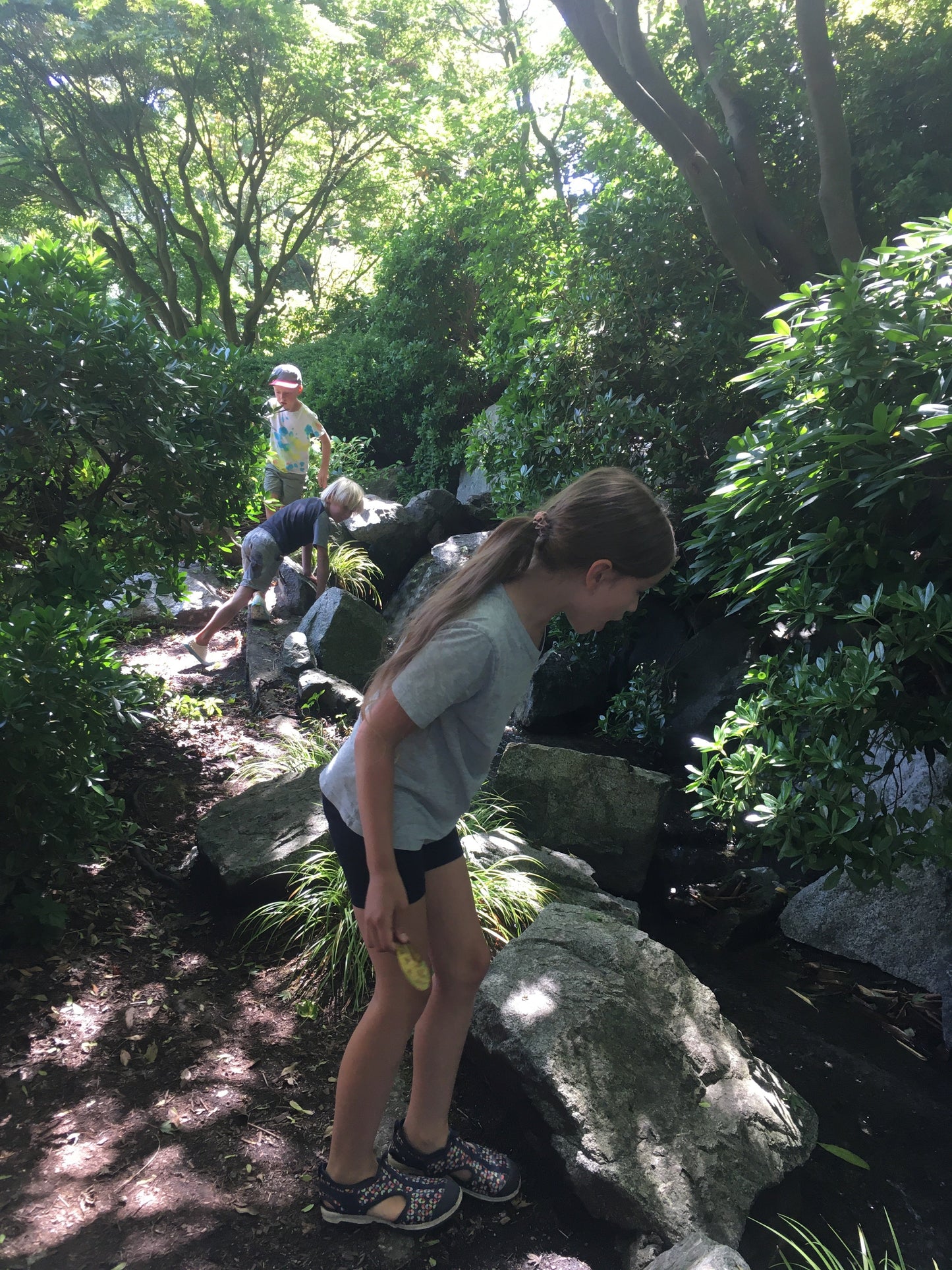 Summer camp week three - August 11-15 2025