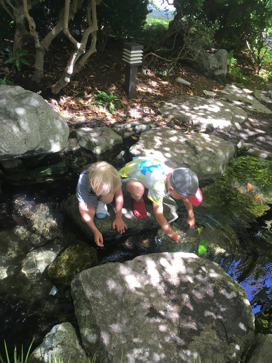 Summer camp week three - August 11-15 2025