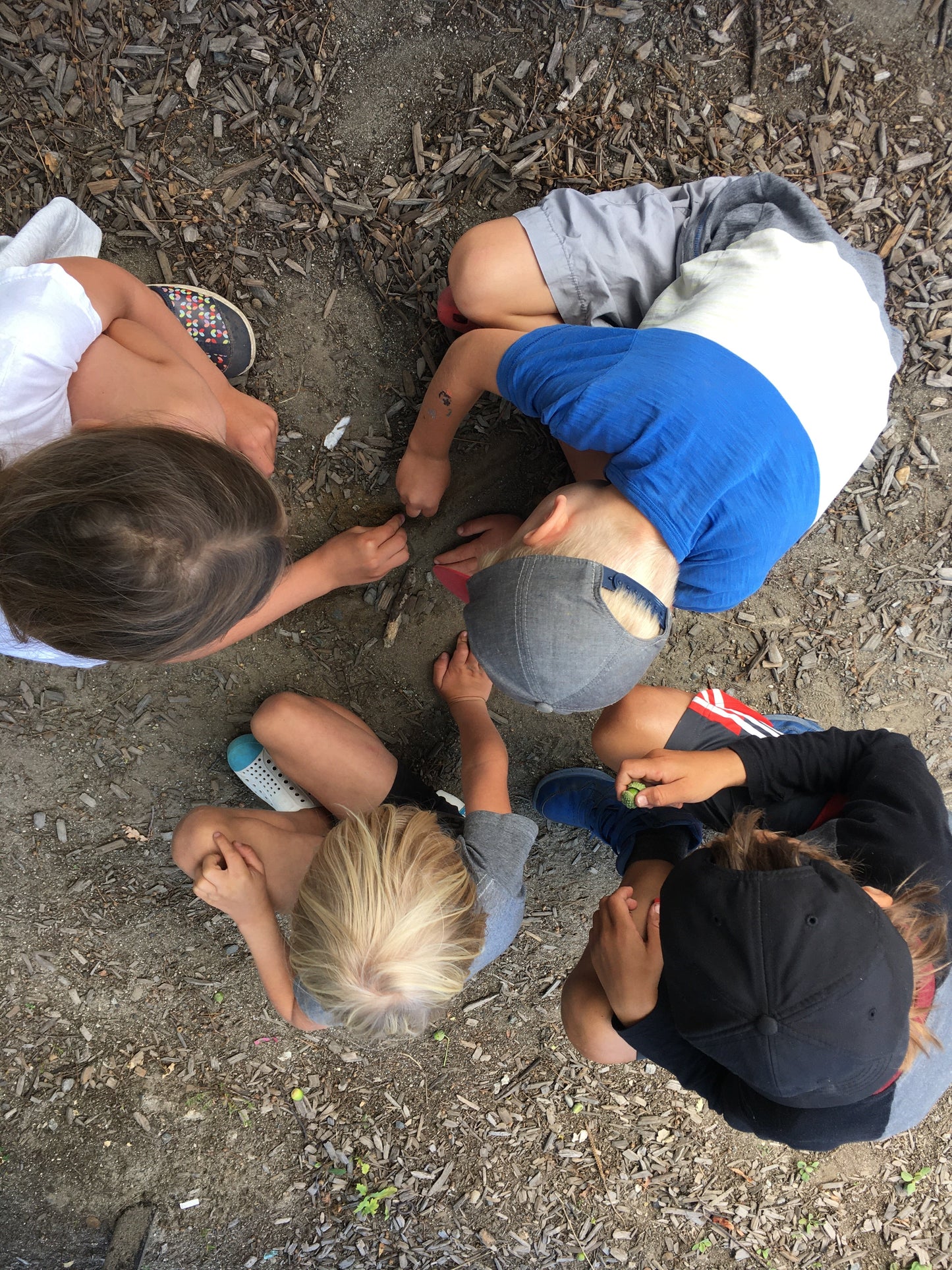 Summer camp week three - August 11-15 2025